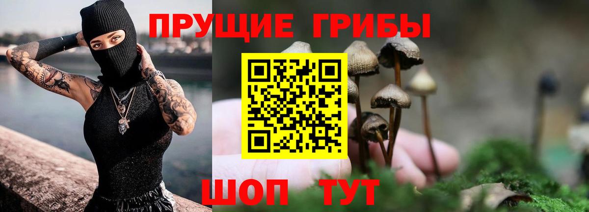 Псилоцибиновые грибы ЛСД Ипатово
