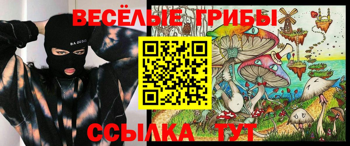 Псилоцибиновые грибы MAGIC MUSHROOMS  Галлюциногенные грибы Psilocybine cubensis  Вход с VPN  Ипатово 